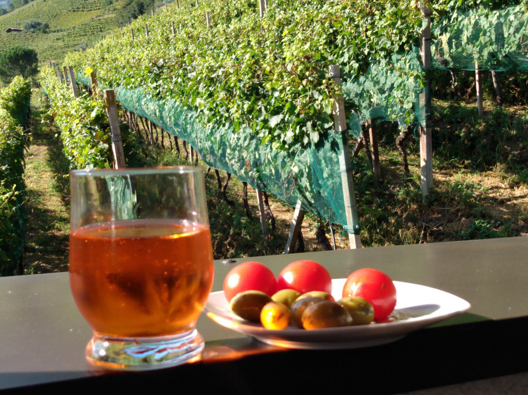 Agriturismo Sittnerhof主图