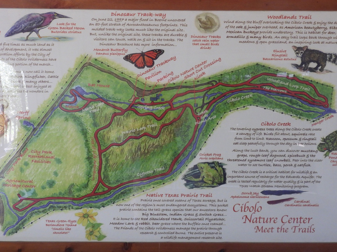 Cibolo Nature Center-Boerne必去景点