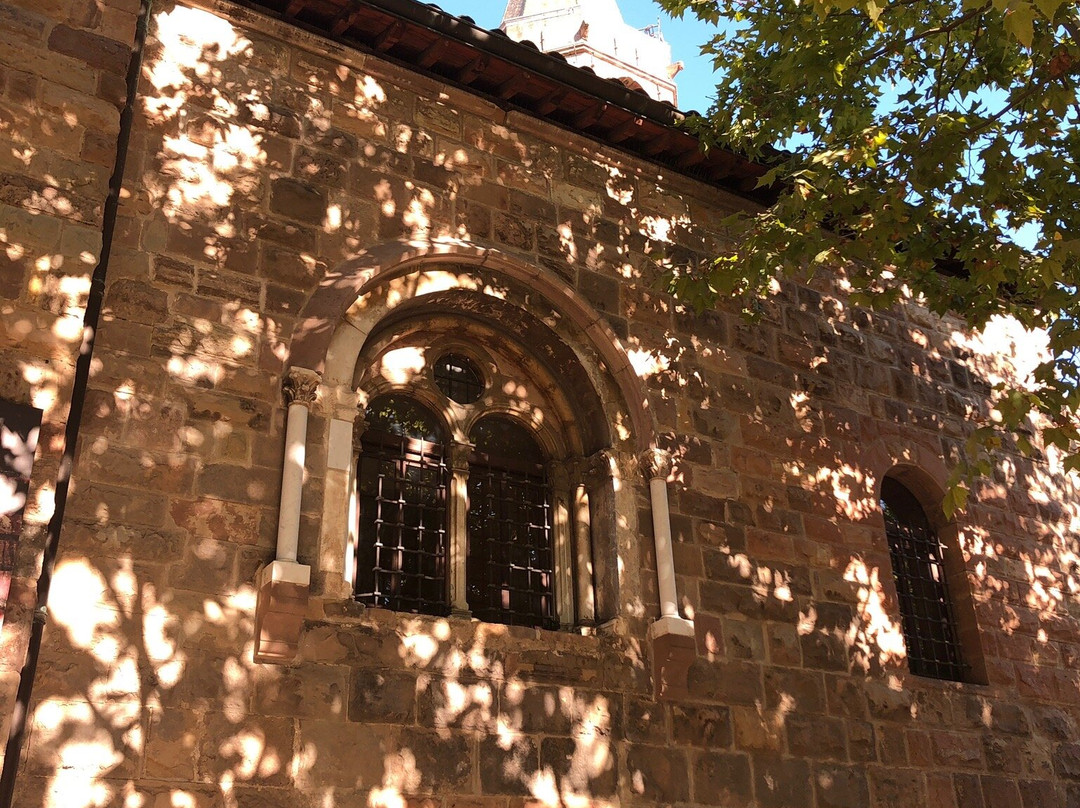 Cloitre de la Cathedrale de Frejus景点图片