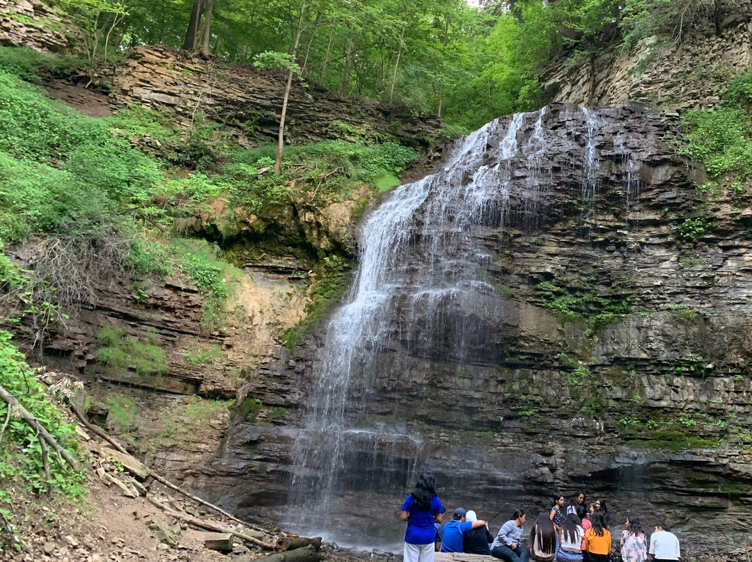 Tiffany Falls Conservation Area-安卡斯特必去景点