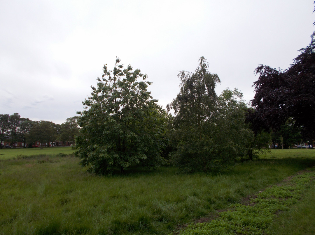 Haresfinch Park