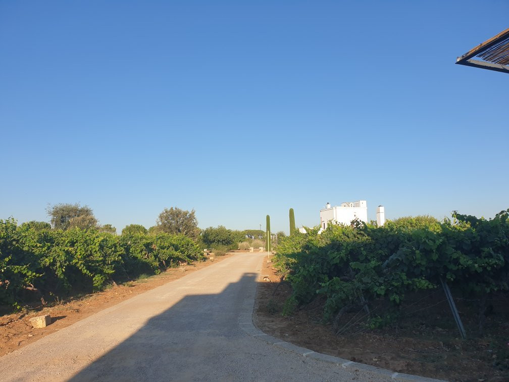 Tenuta Yala主图