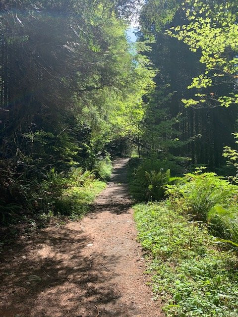 Woodland Walk Trail景点图片