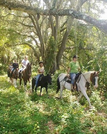 Skunkie Acres, Inc'-Citra必去景点