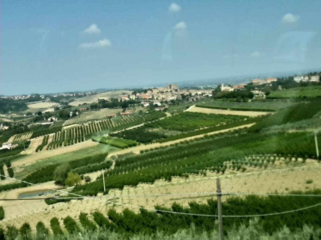 Hotel Milord Cesenatico主图