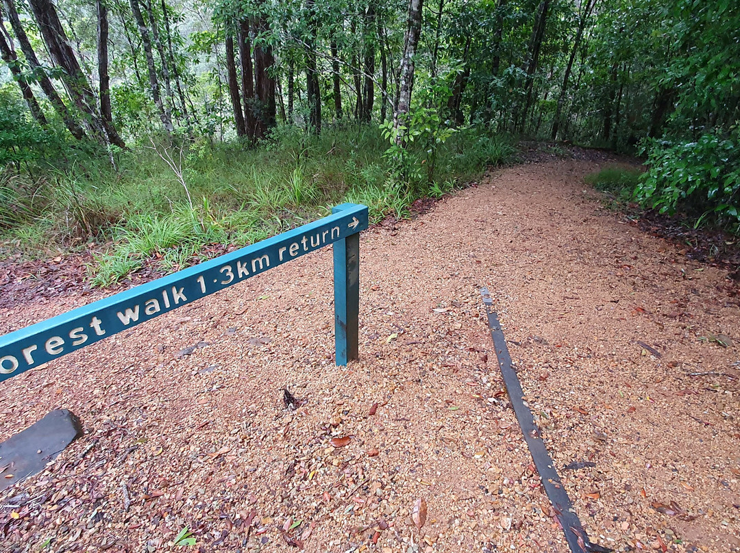 Tully Falls National Park-Ravenshoe必去景点