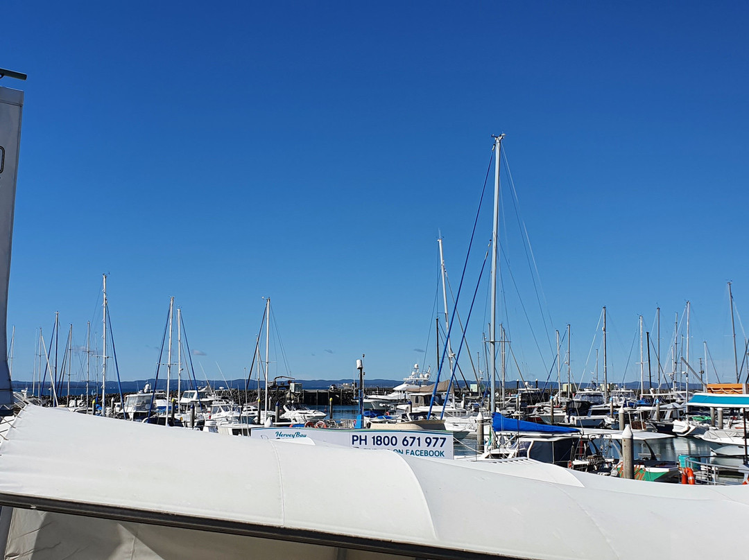 Great Sandy Straits Marina景点图片