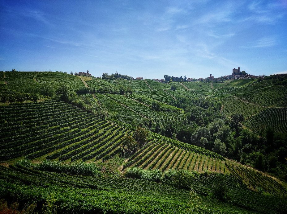 Agriturismo I Grappoli-官方