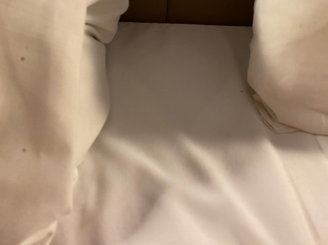 Campanile Hotel Eindhoven主图