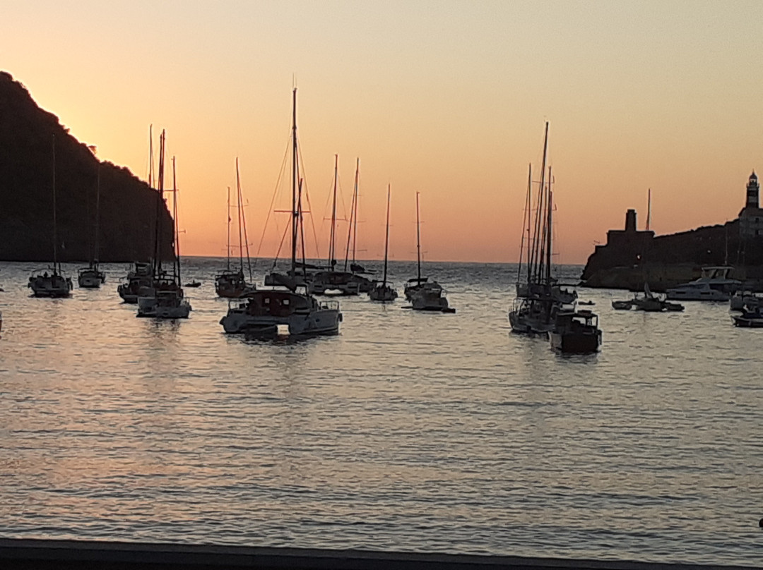 Catamaran Mallorca景点图片