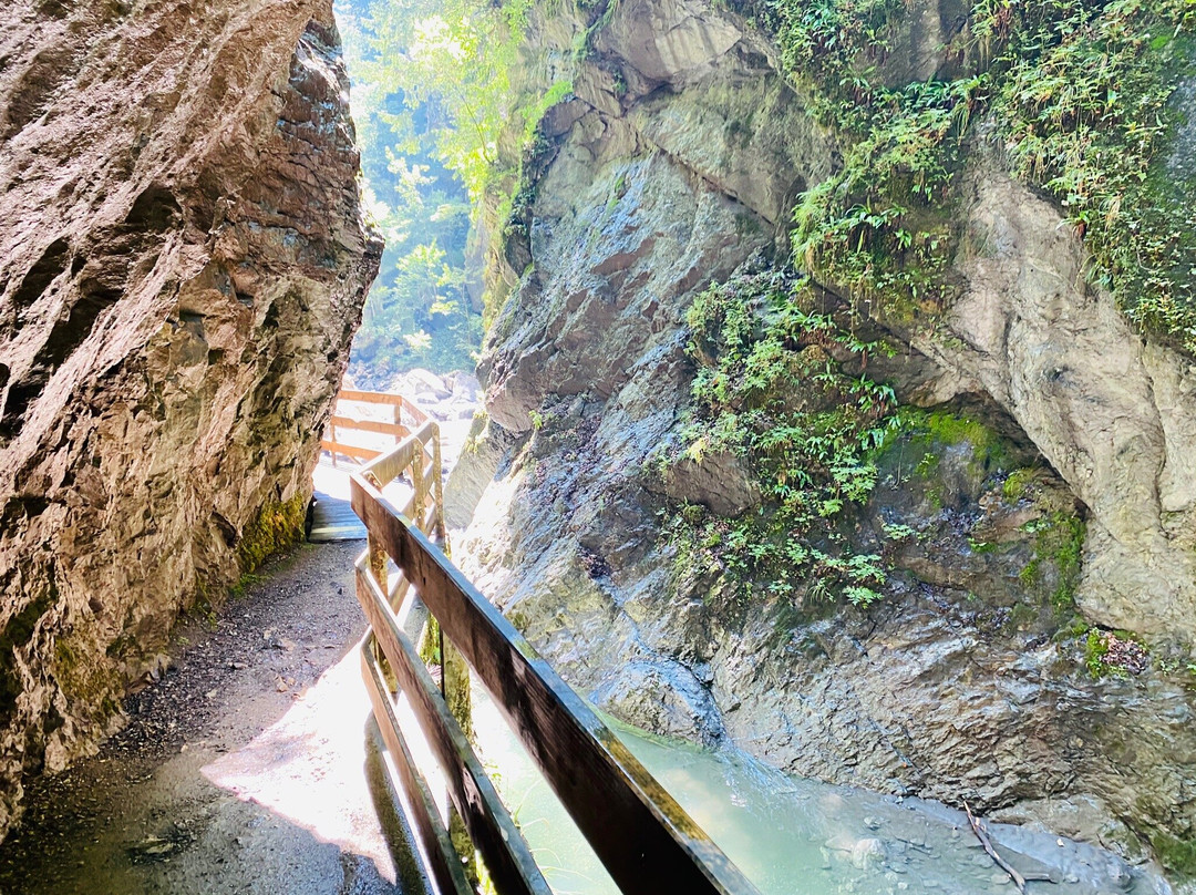 Rappenlochschlucht-多恩比恩必去景点