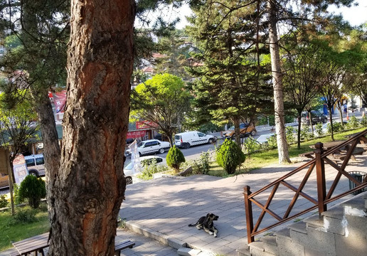 Aluçdağ Lokantası