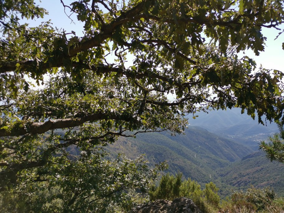 Liguria Escursioni Quad景点图片