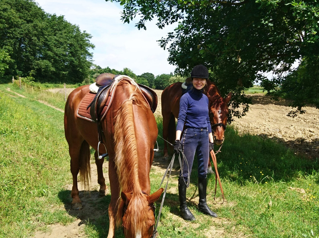 Horse Riding Tre Laghi-丘西必去景点