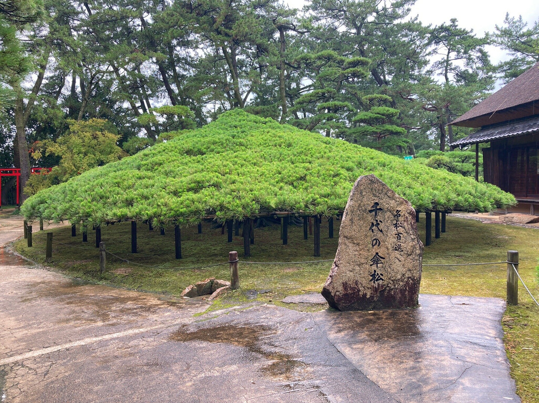 Nakazubansho Garden-丸龟市必去景点