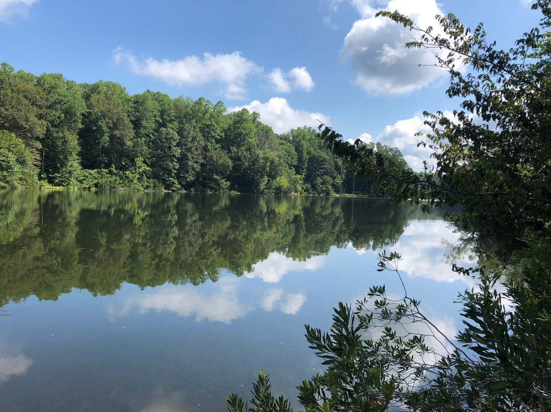 Beaverdam Park景点图片