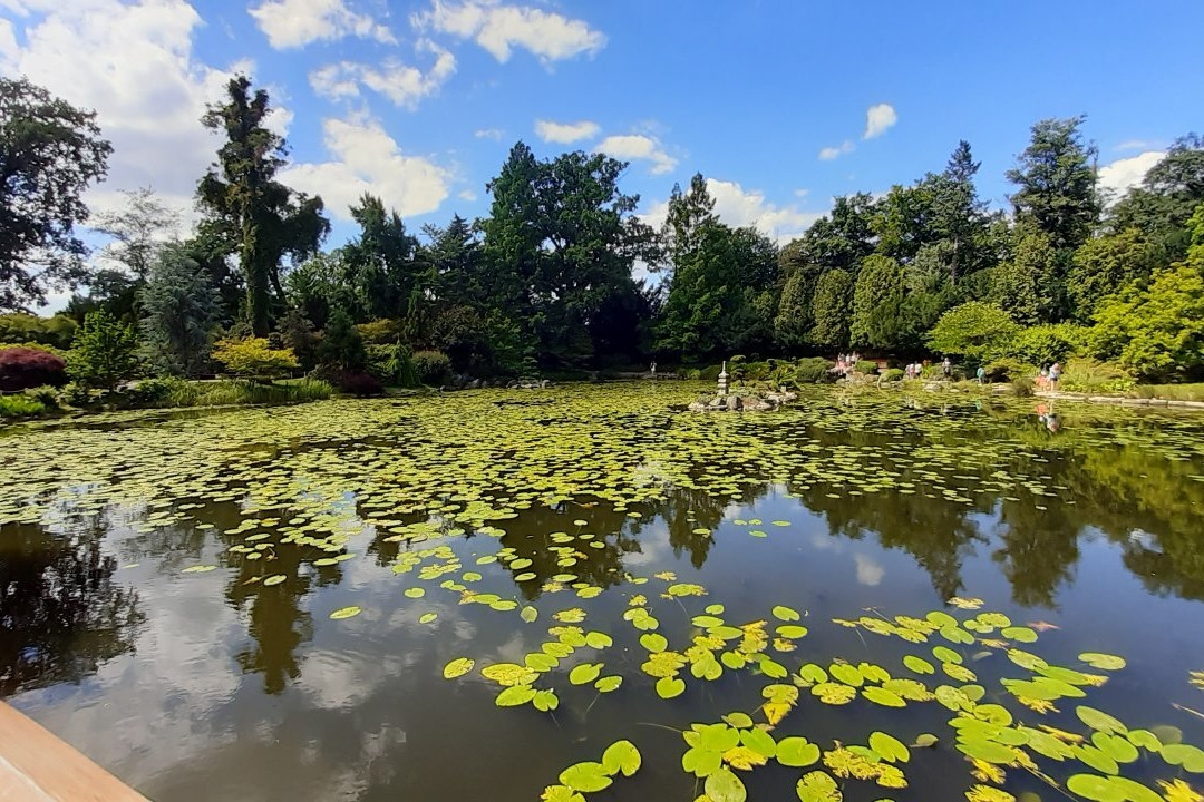 Japanese Garden - Szczytnicki Park景点图片