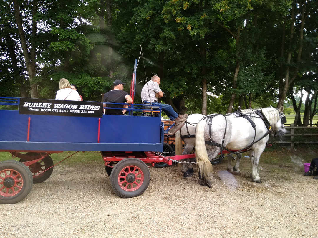 Burley Wagon Rides景点图片
