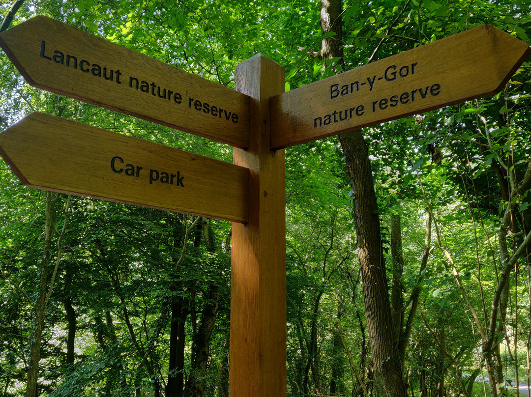 Lancaut Nature Reserve景点图片