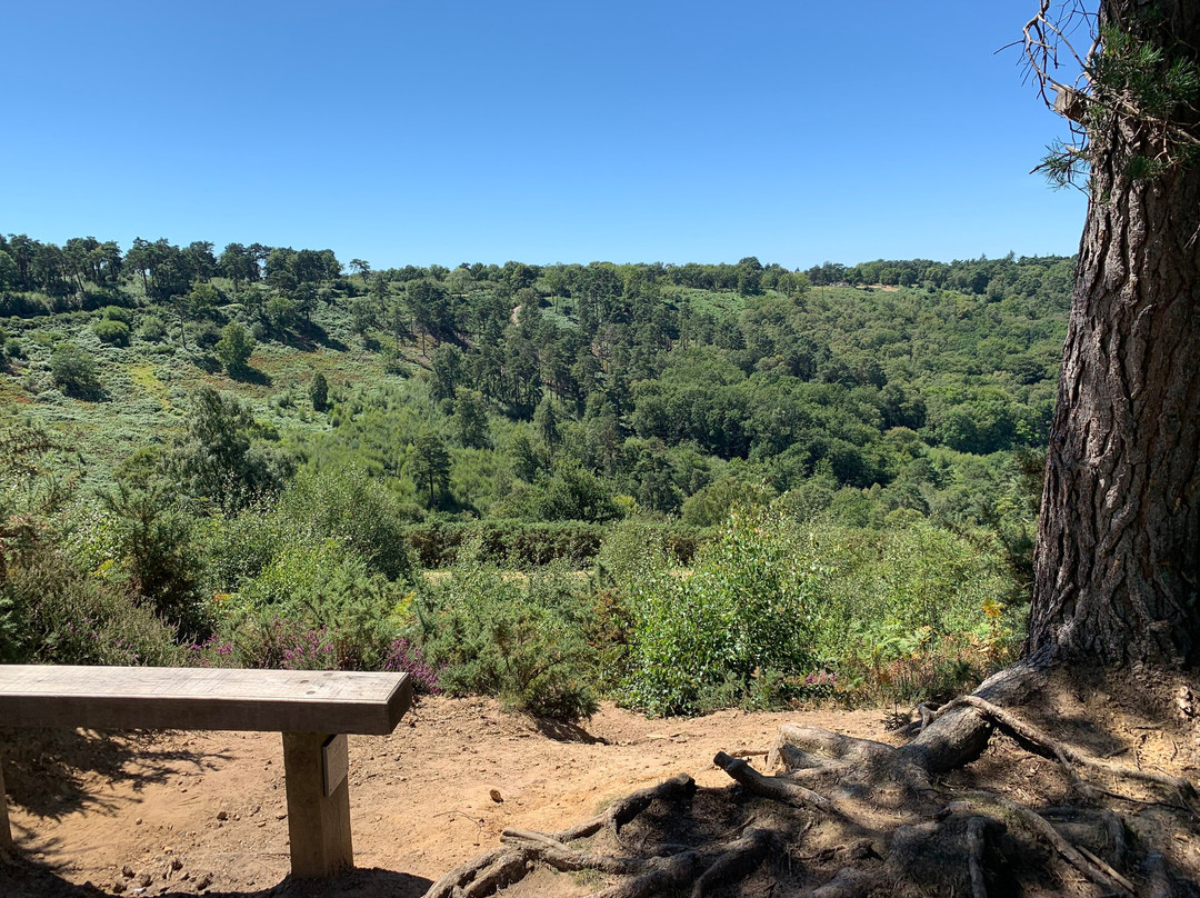 Hindhead Commons and the Devil's Punch Bowl景点图片
