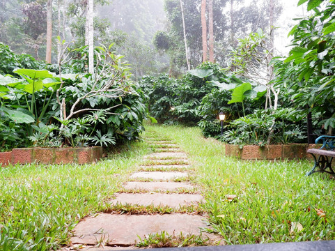胡椒步道酒店主图