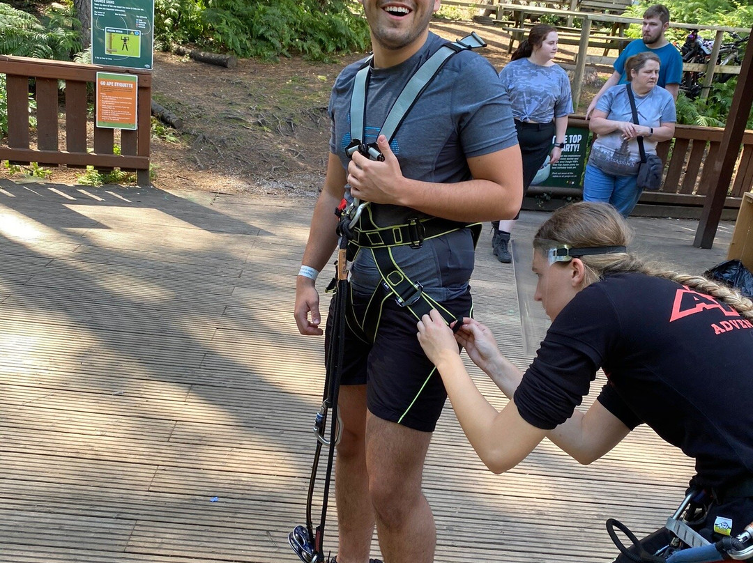 Go Ape Delamere景点图片