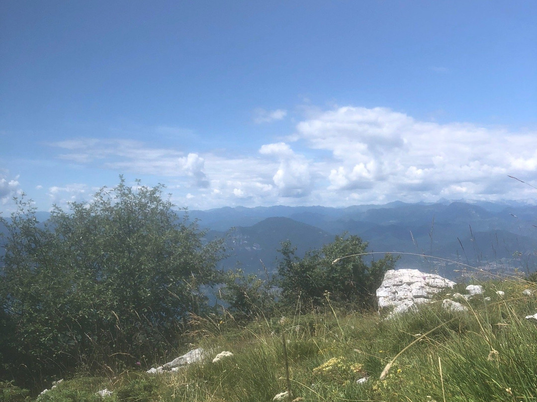 Happy Owl Tracks-维罗纳必去景点