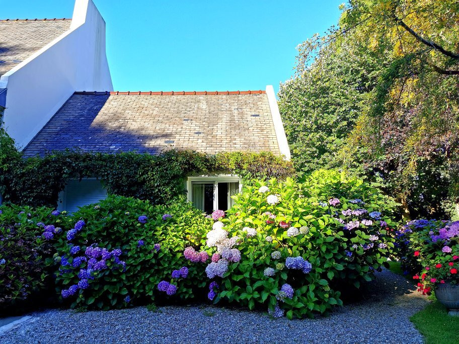 La Villa les Hortensias主图