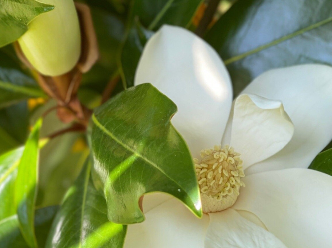 La Seigneurie Tillac主图