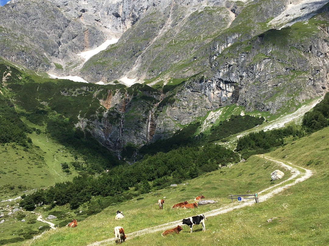 Haus Wasserbauer主图