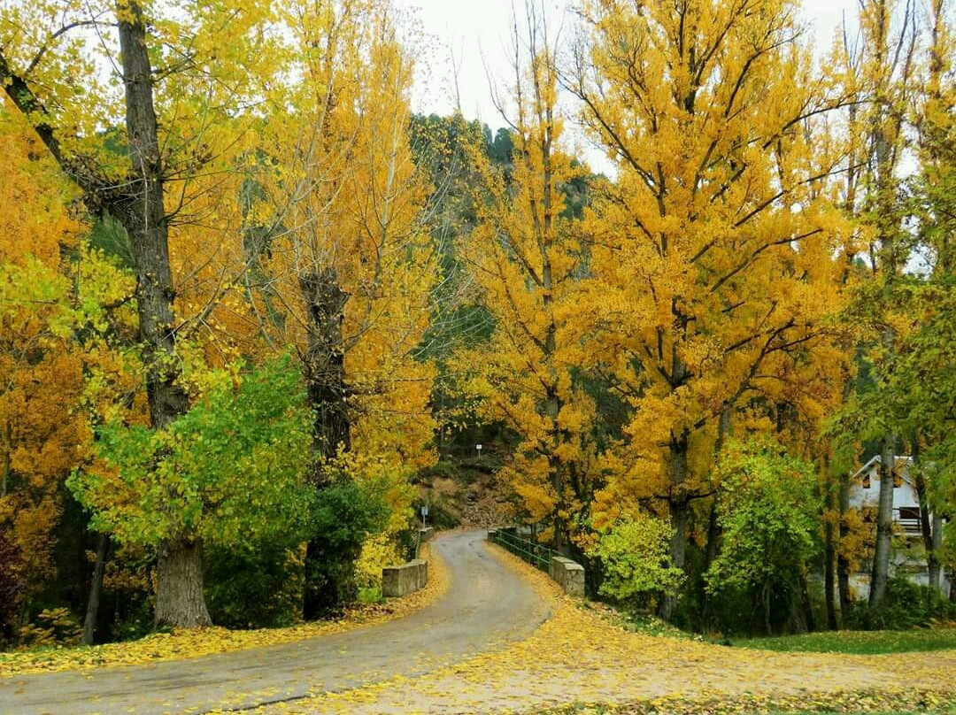 Hotel Rio Madera主图