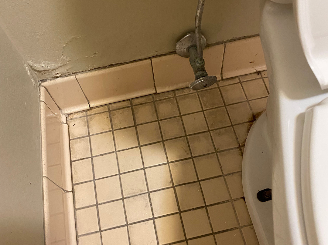 George T. Bagby State Park主图