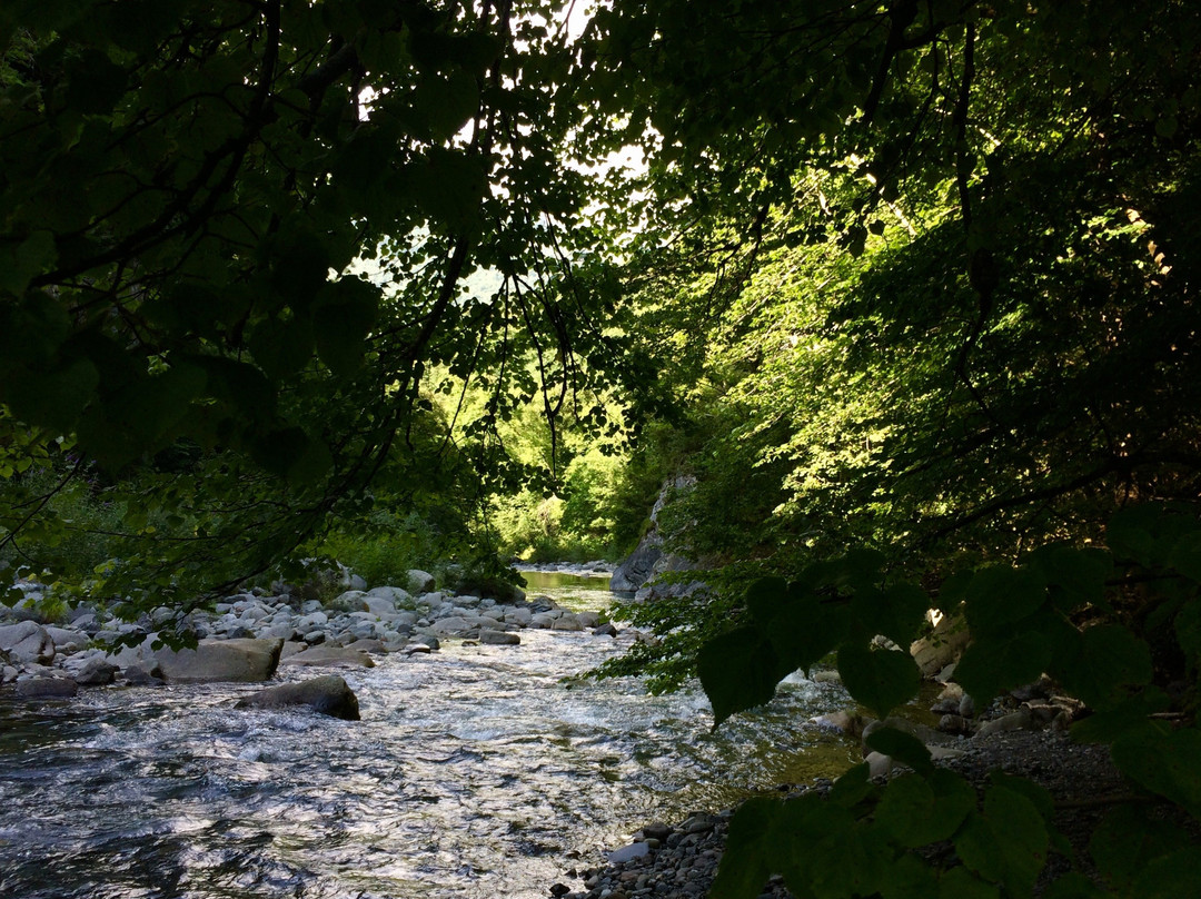 Clem'Emotions Pêche - Moniteur Guide de Pêche en Hautes-Pyrénées景点图片