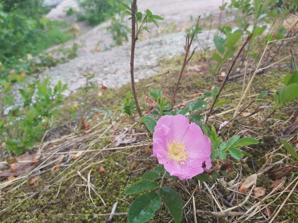 Pabineau Falls-Bathurst必去景点