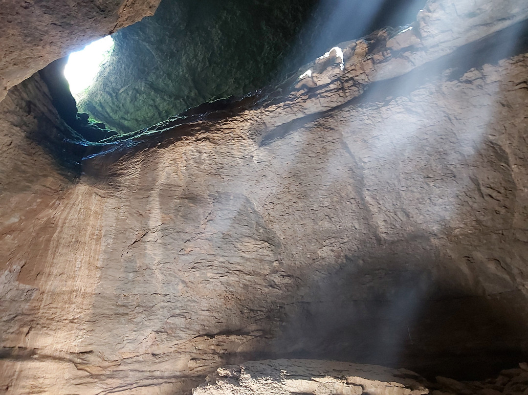 Cueva Palomera景点图片