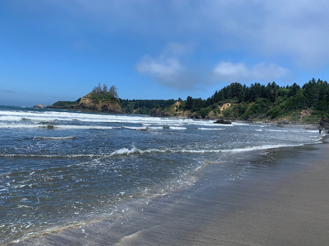 Trinidad State Beach景点图片
