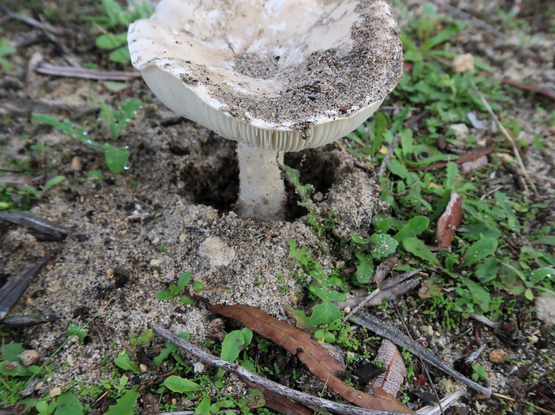 Manea Park-班伯利必去景点