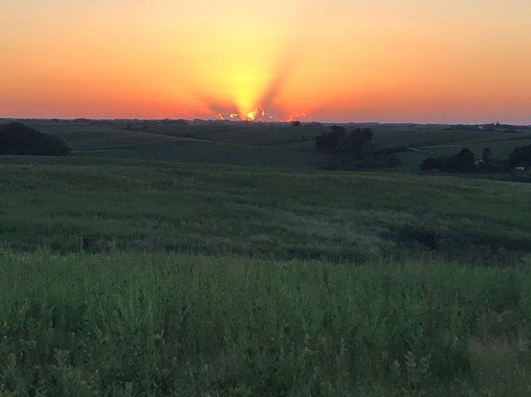Spring Creek Prairie Audubon Center-Denton必去景点