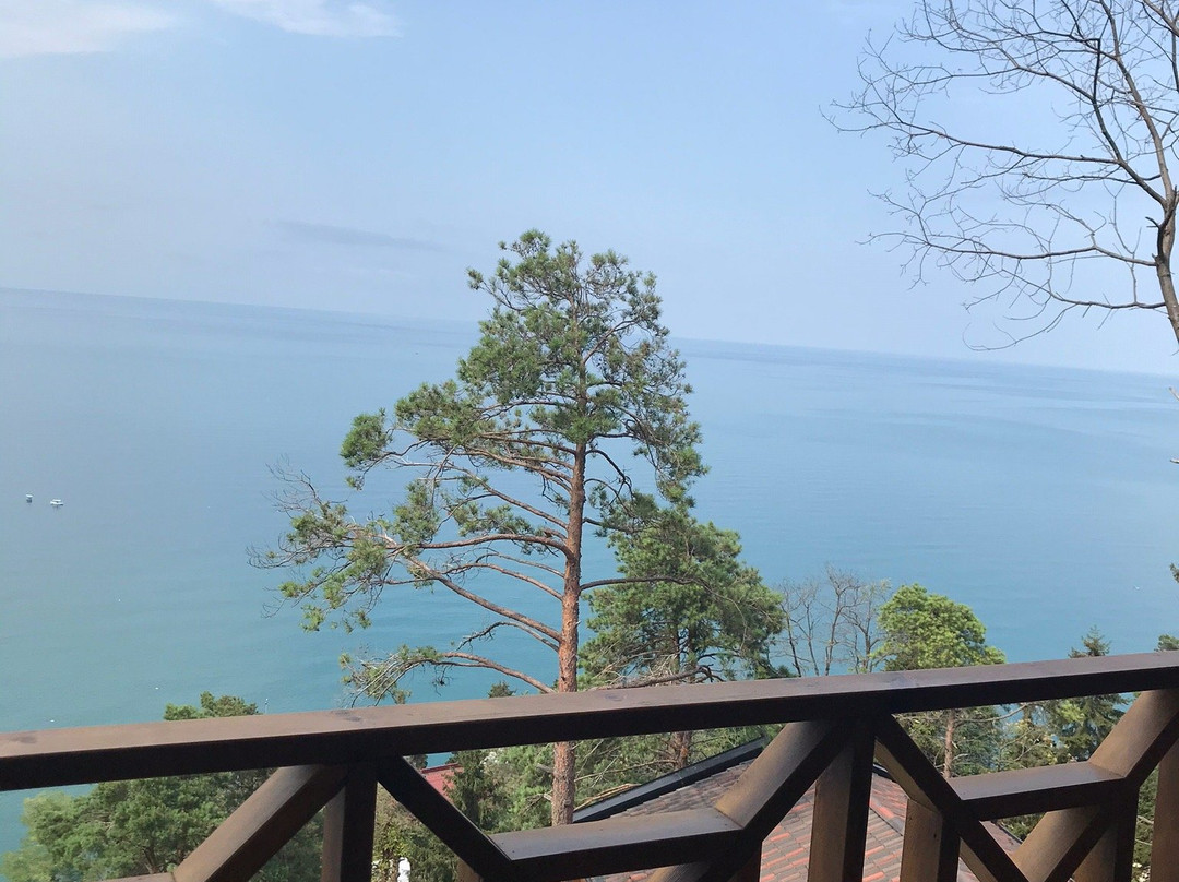 Hancioglu Çamburnu Orman Evleri (Bungalow) & Hotel主图