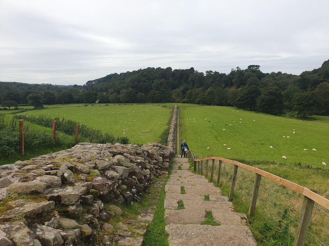 Hadrian's Wall Path景点图片