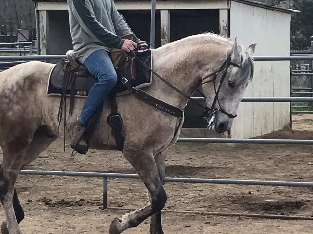 San Diego Horse Trail Riding景点图片