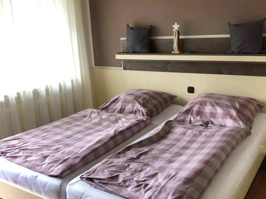 Hotel Haus Hildegard - Garni主图