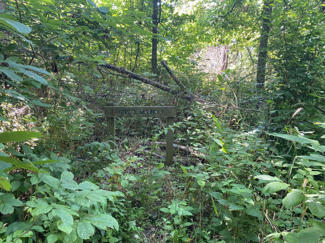 Shawnee Lookout State Park-North Bend必去景点