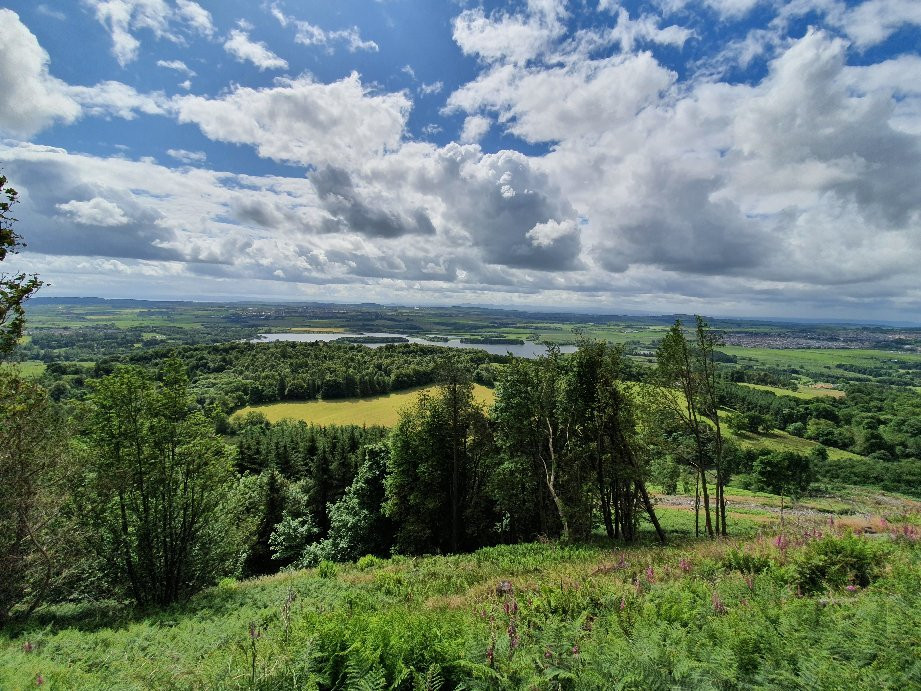 Benarty Hill Walk-Kelty必去景点