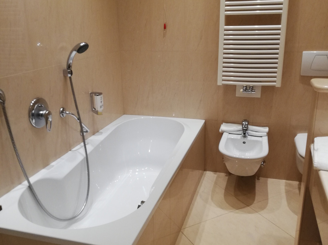 Cityhotel Goldener Adler B&B主图