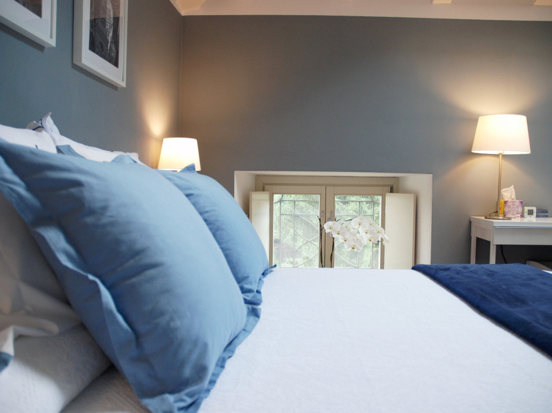 Ambivere旅游攻略图片