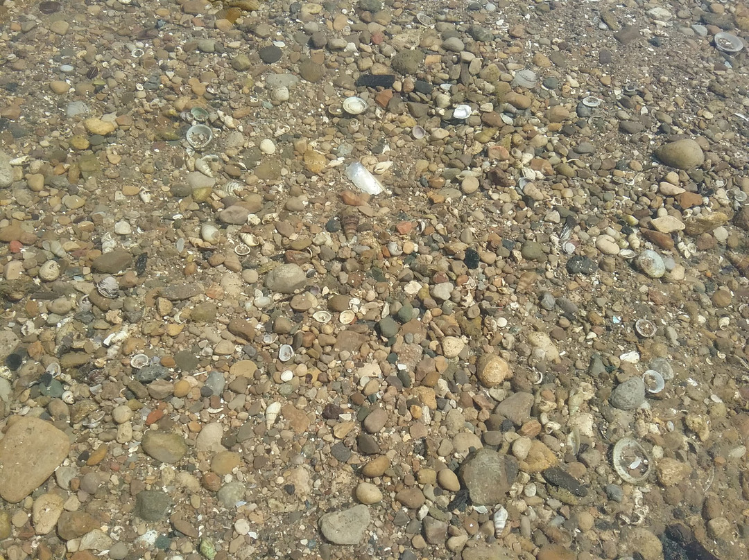 Barefoot Canoe-West Milton必去景点