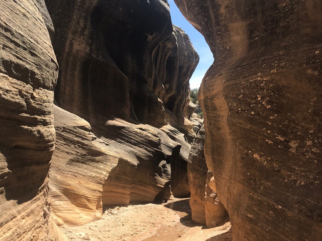 Willis Creek Slot Canyon-Cannonville必去景点