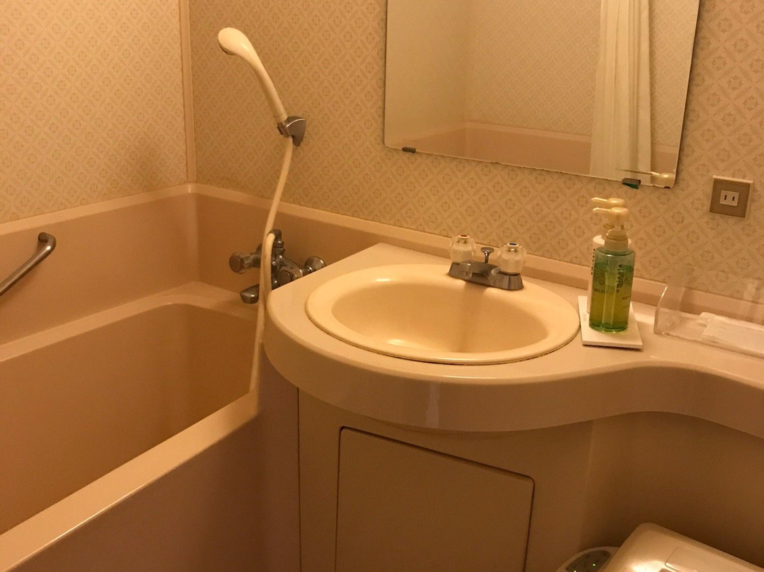 Hotel Toyotomi主图