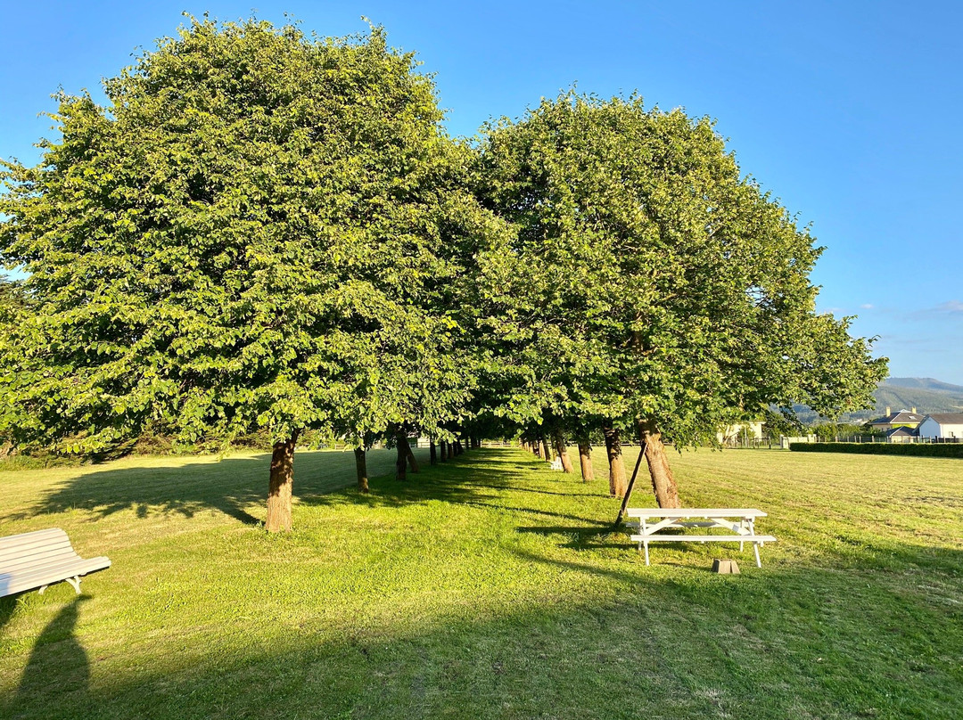 Hotel Casa Peleyon主图